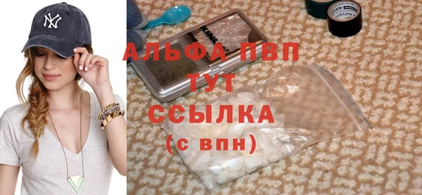 стаф Аркадак