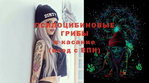 стаф Аркадак