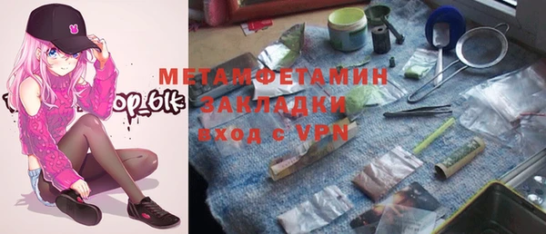 стаф Аркадак