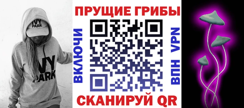 kraken ТОР  Унеча  Галлюциногенные грибы GOLDEN TEACHER 